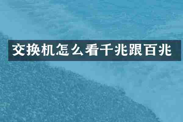交换机怎么看千兆跟百兆