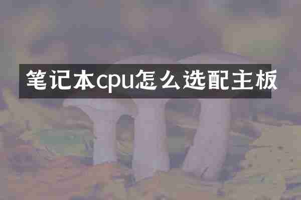 笔记本cpu怎么选配主板