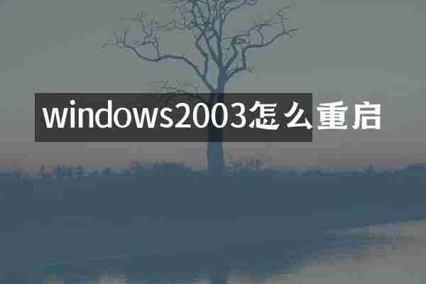 windows2003怎么重启