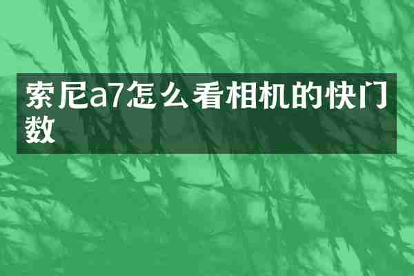 a7怎么看相机的快门次数