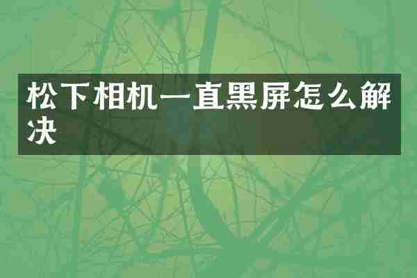 相机一直黑屏怎么解决