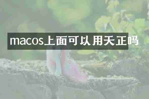 macos上面可以用天正吗