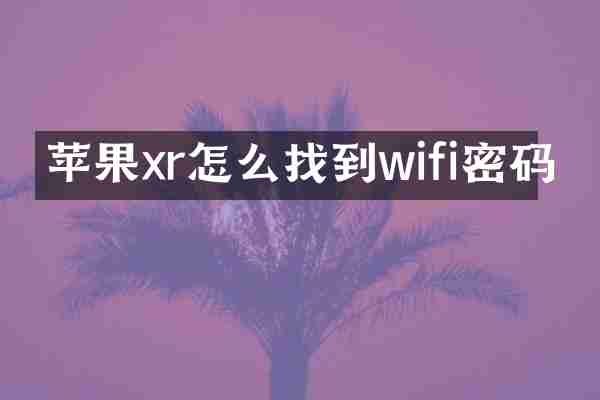 苹果xr怎么找到wifi密码