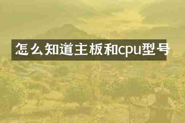 怎么知道主板和cpu型号