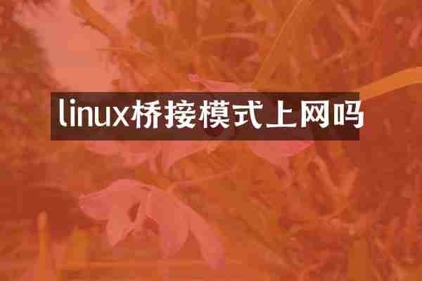 linux桥接模式上网吗