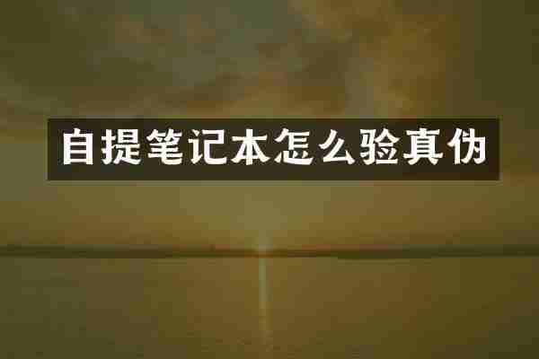 自提笔记本怎么验真伪