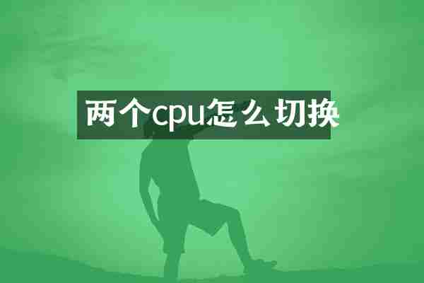 两个cpu怎么切换