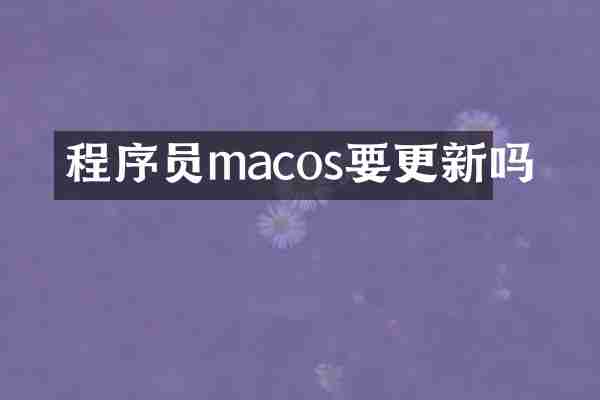 程序员macos要更新吗