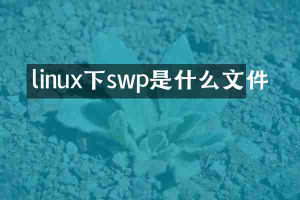 linux下swp是什么文件