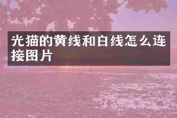 光猫的黄线和白线怎么连接图片