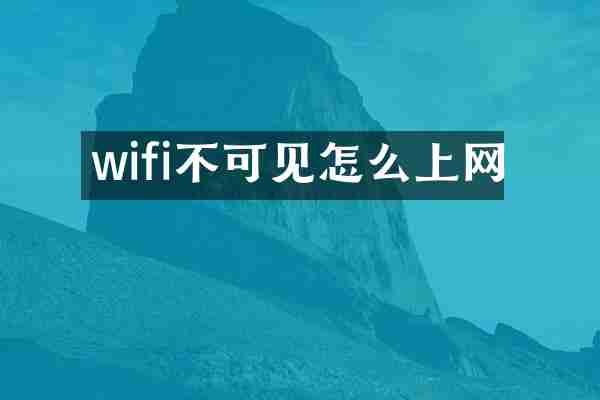 wifi不可见怎么上网