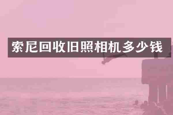 回收旧照相机多少钱