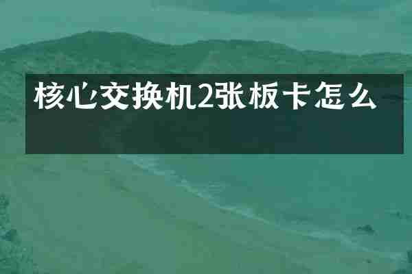 核心交换机2张板卡怎么插