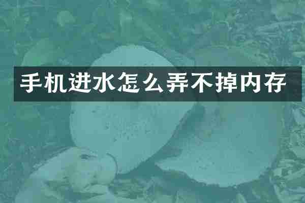 手机进水怎么弄不掉内存