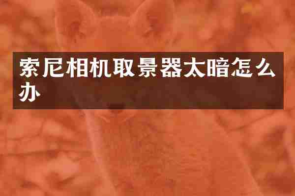 相机取景器太暗怎么办