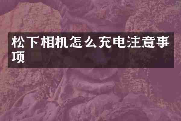 相机怎么充电注意事项