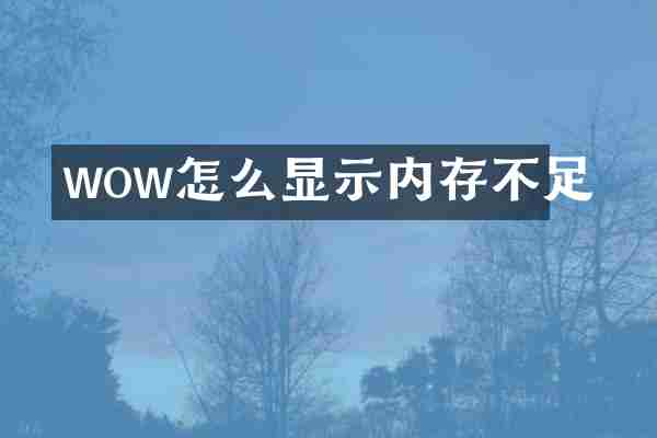 wow怎么显示内存不足