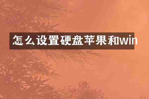 怎么设置硬盘苹果和win