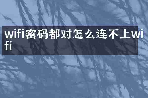 wifi密码都对怎么连不上wifi