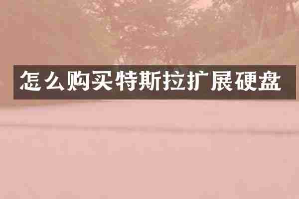 怎么购买特斯拉扩展硬盘