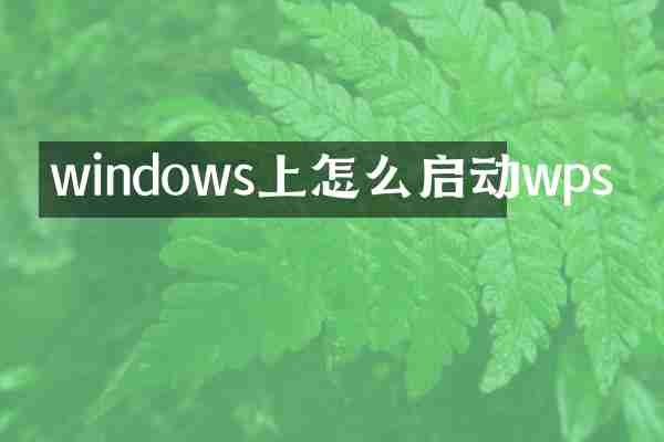 windows上怎么启动wps
