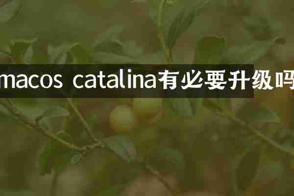 macos catalina有必要升级吗