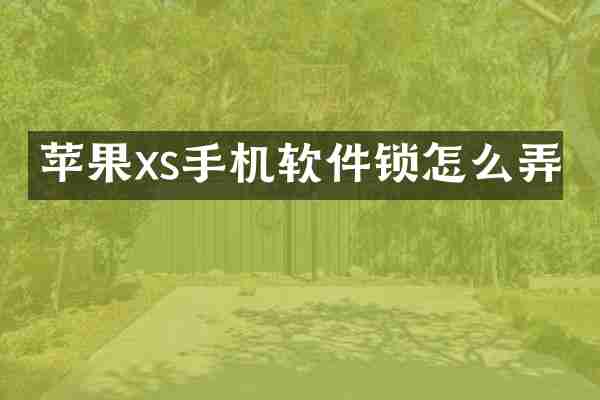 苹果xs手机软件锁怎么弄