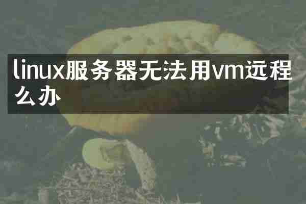 linux服务器无法用vm远程怎么办