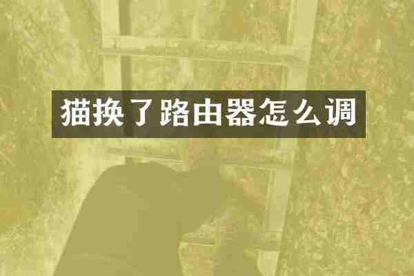 猫换了路由器怎么调
