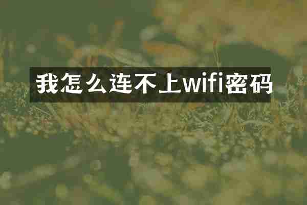 我怎么连不上wifi密码