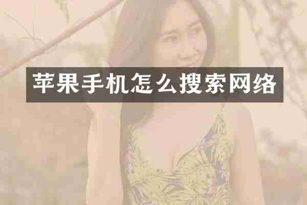 苹果手机怎么搜索网络