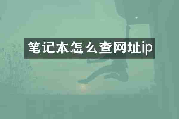 笔记本怎么查网址ip