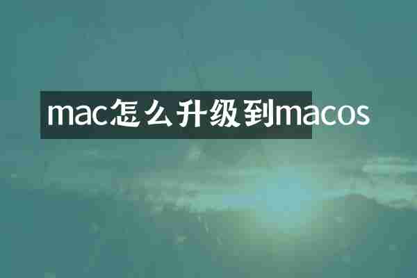 mac怎么升级到macos