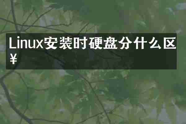 Linux安装时硬盘分什么区好