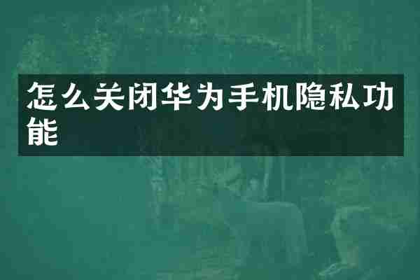 怎么关闭华为手机隐私功能