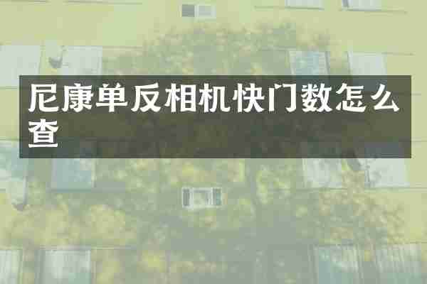 尼康单反相机快门数怎么查