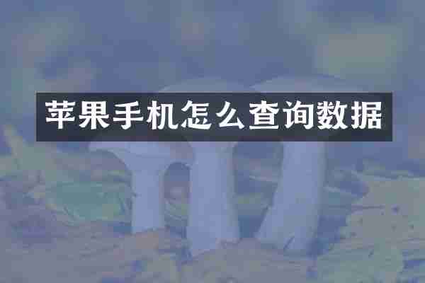 苹果手机怎么查询数据