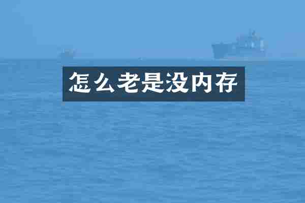 怎么老是没内存