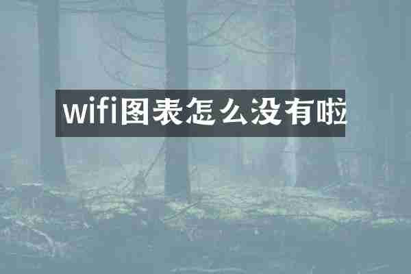 wifi图表怎么没有啦