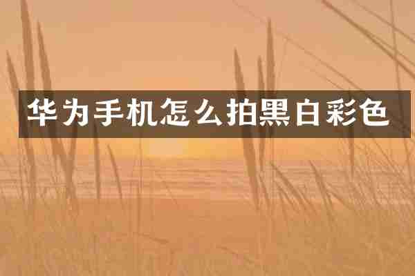 华为手机怎么拍黑白彩色