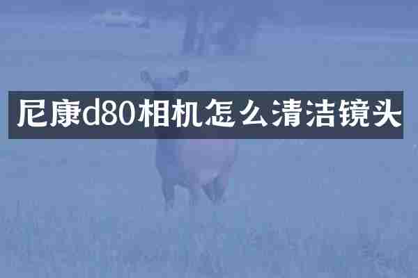 尼康d80相机怎么清洁镜头