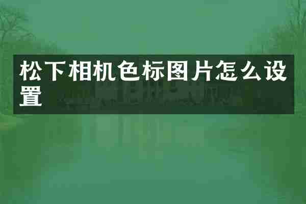 相机色标图片怎么设置