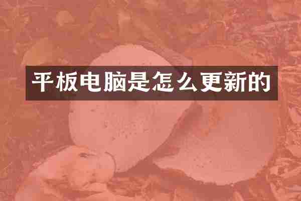 平板电脑是怎么更新的