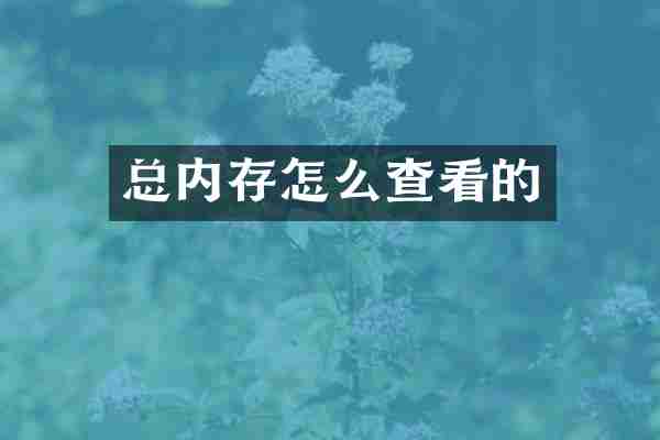 总内存怎么查看的