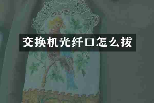 交换机光纤口怎么拔