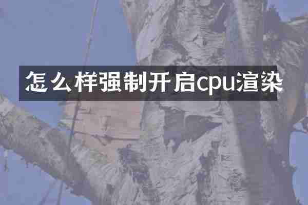 怎么样强制开启cpu渲染