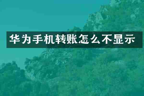 华为手机转账怎么不显示