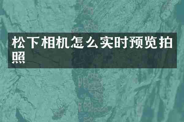 相机怎么实时预览拍照