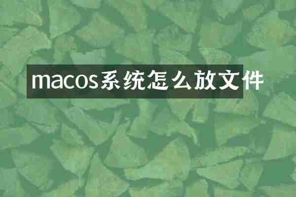 macos系统怎么放文件