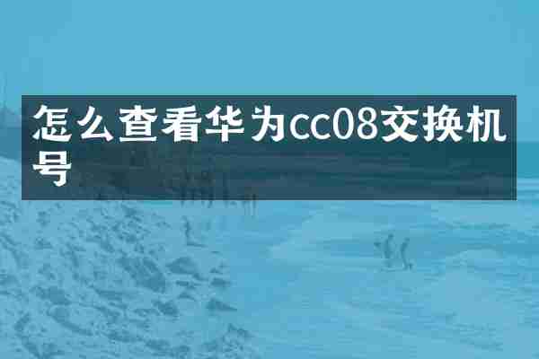 怎么查看华为cc08交换机型号